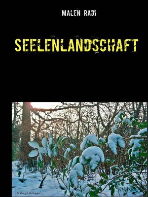 cover image of Seelenlandschaft